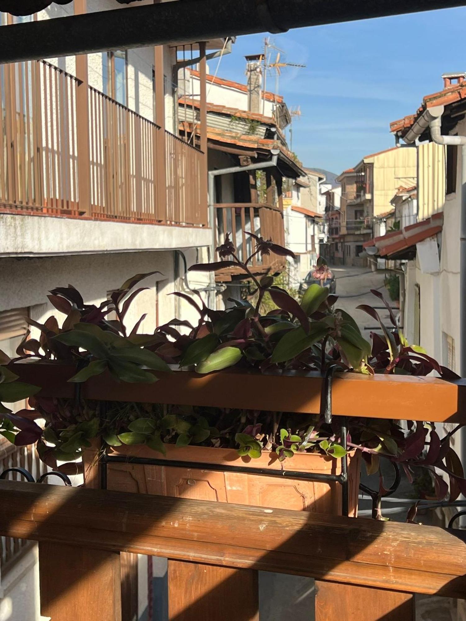 La Golondrina Apartment กันเดเลดา ภายนอก รูปภาพ
