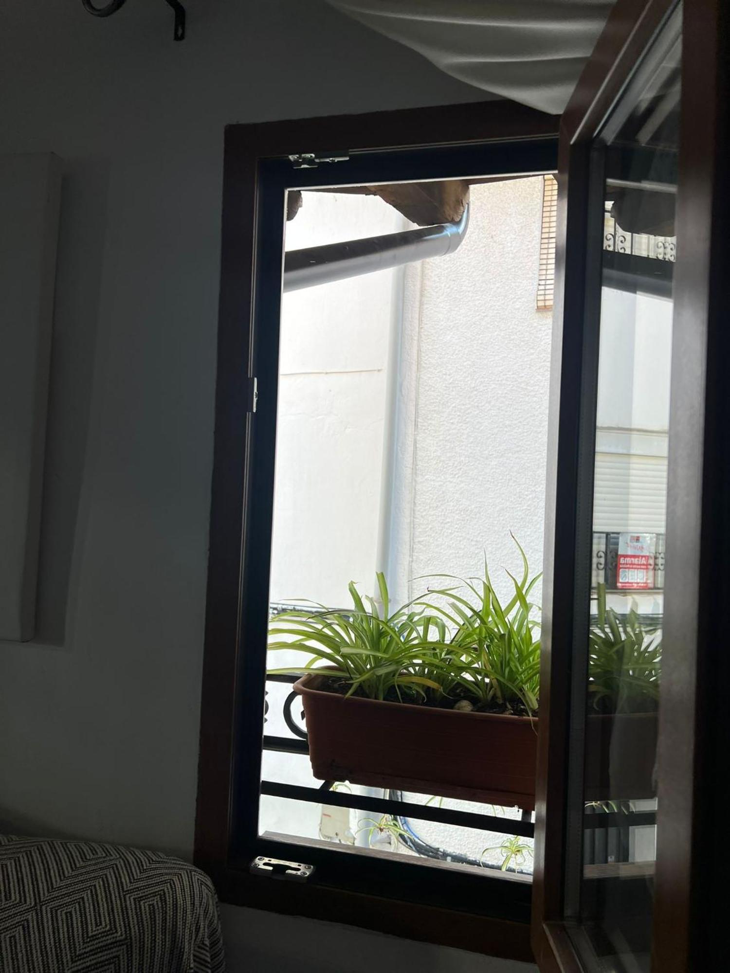 La Golondrina Apartment กันเดเลดา ภายนอก รูปภาพ